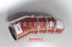 發(fā)動機(jī)膠管膠管1119050-D848