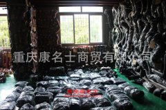 中警ZY5070XZM照明車用的慶鈴4KH1-TC發動機的大修及配件