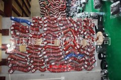 五十鈴GLK6110H1豪華客車用的五十鈴6SD1發動機的配件及修理