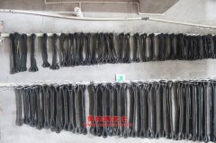 江鈴JX6770VD4客車用的康明斯ISF3.8s4141發(fā)動機(jī)的配件及保養(yǎng)