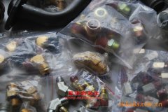 揚子YZK6120HYC2客車用的玉柴YC6G240-30發動機的配件及修理