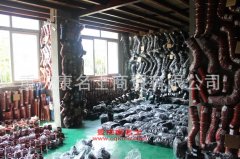 金優(yōu)JY3140K2長頭柴油自卸汽車用的一汽CA6DE2-22發(fā)動機的大修及配件